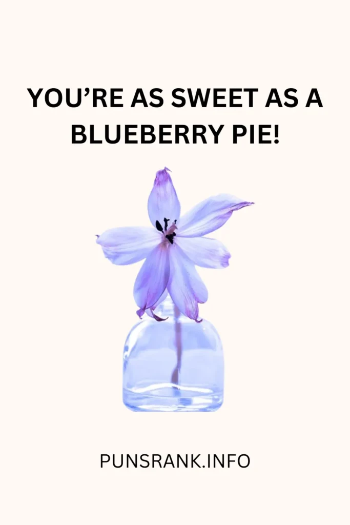 You’re as sweet as a blueberry pie!